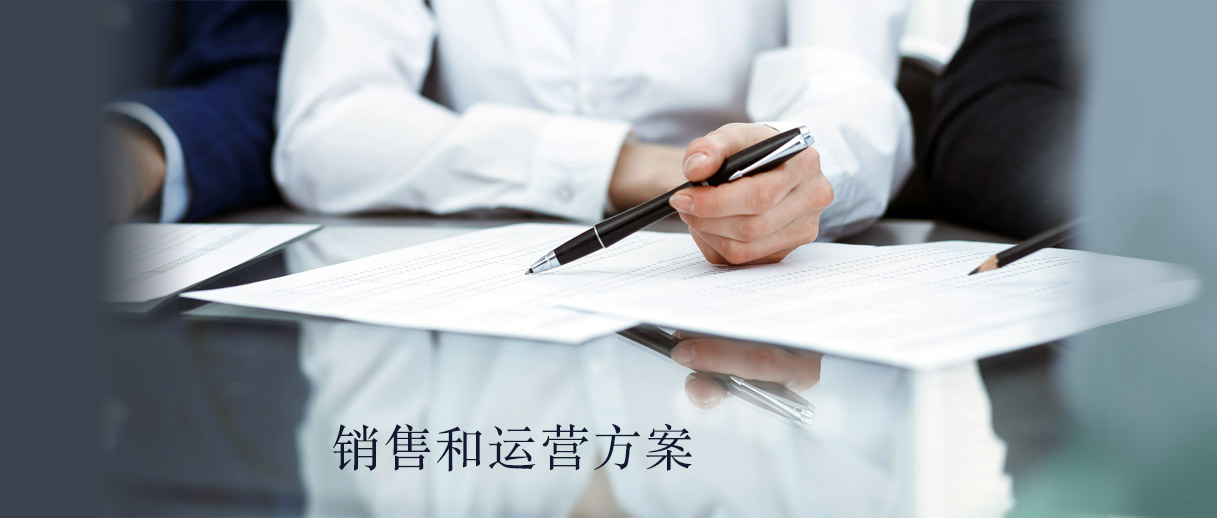 sales and operations pm