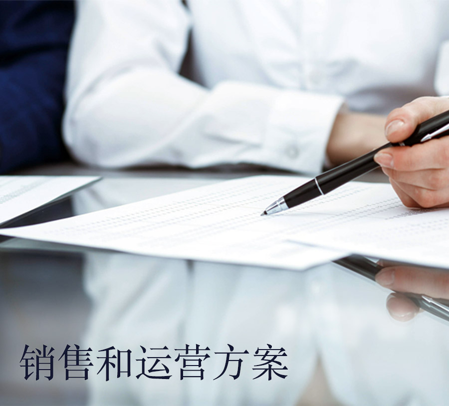 sales and operations pm